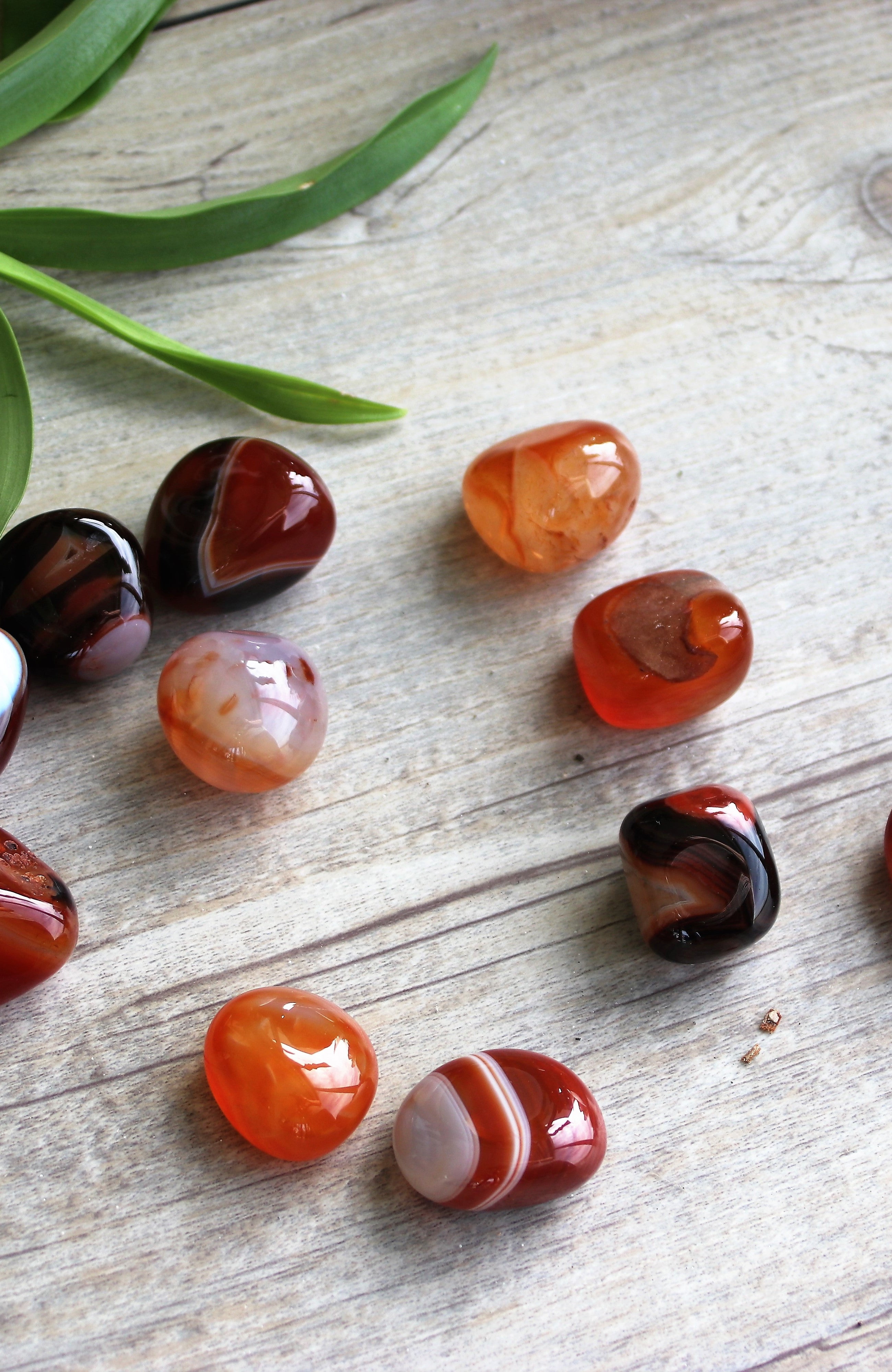 Carnelian Tumbled Stone